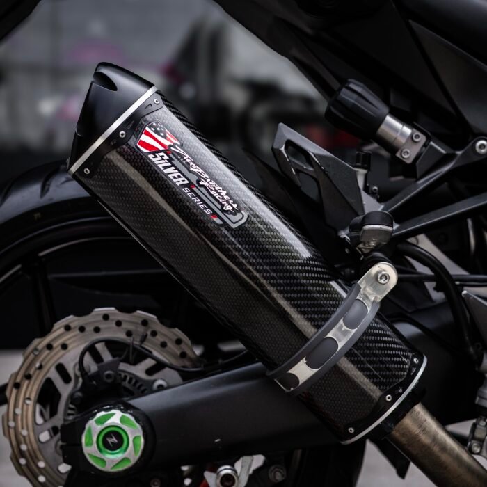 Kawasaki Ninja 1000